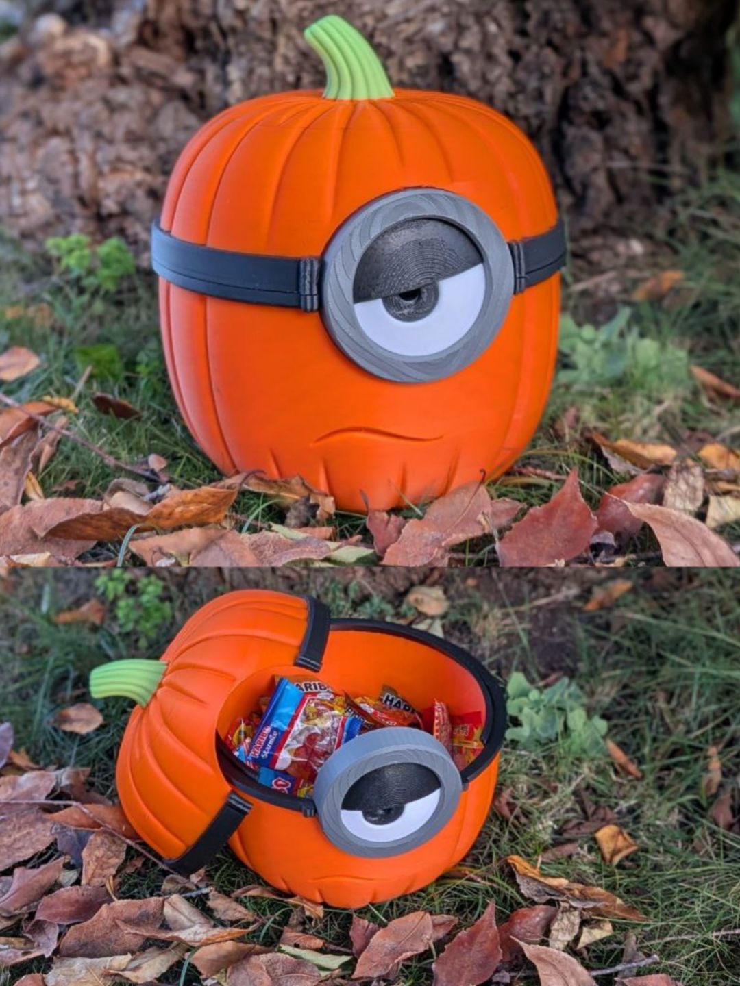 Calabazas decorativas