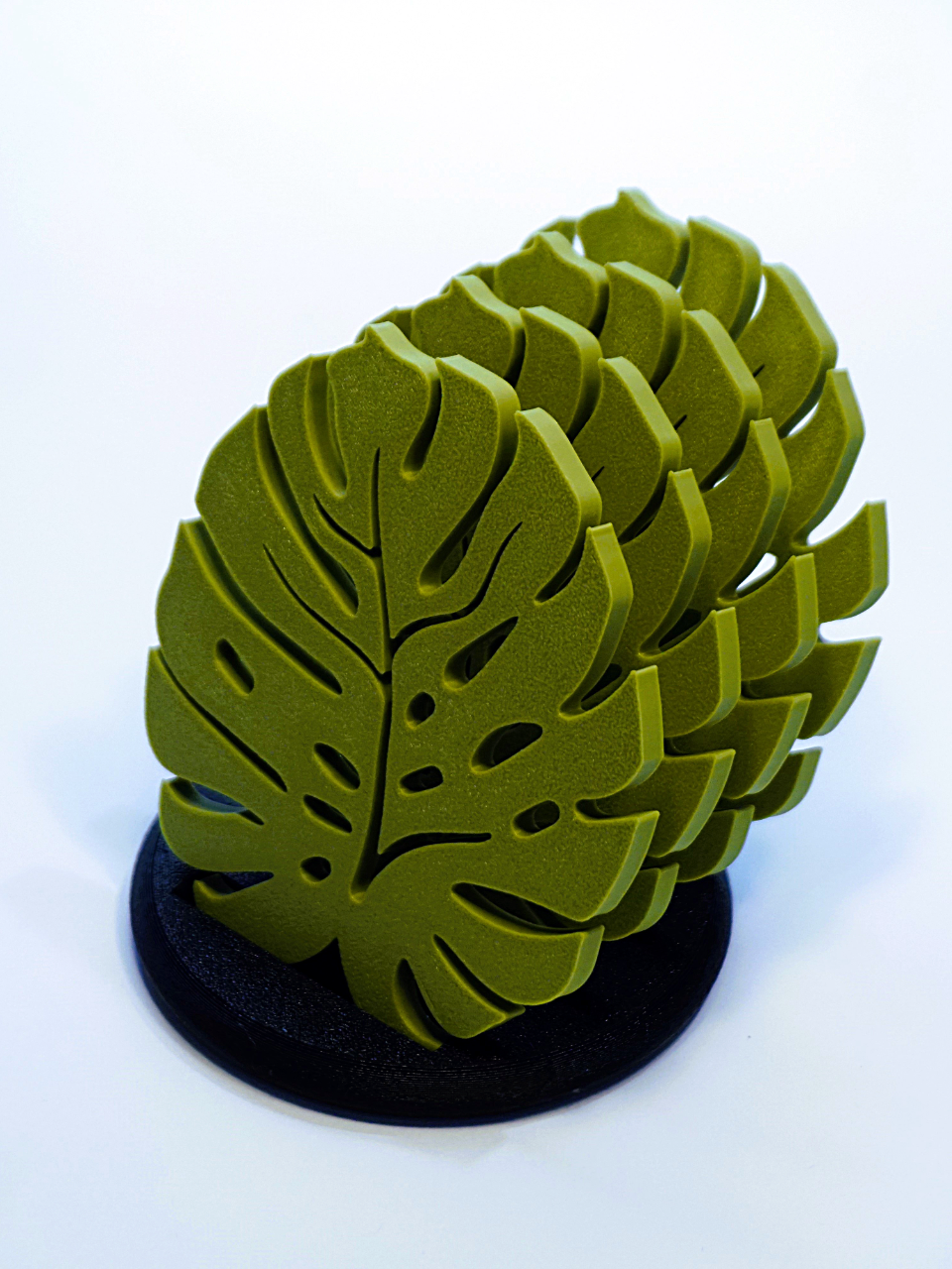 Posavasos Hoja Monstera