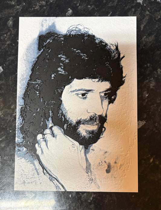 Lámina decorativa Camarón